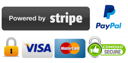 Secure Payments by Stripe
